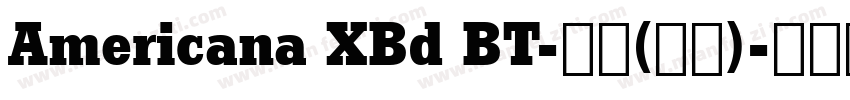 Americana XBd BT-普通(西方)字体转换
